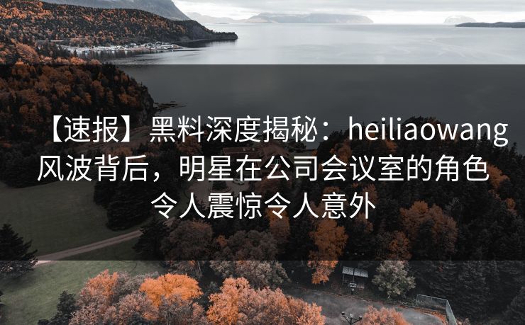【速报】黑料深度揭秘：heiliaowang风波背后，明星在公司会议室的角色令人震惊令人意外