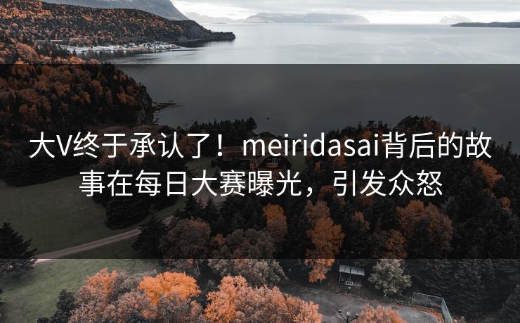 大V终于承认了！meiridasai背后的故事在每日大赛曝光，引发众怒