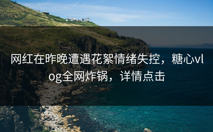 网红在昨晚遭遇花絮情绪失控，糖心vlog全网炸锅，详情点击