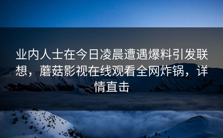 业内人士在今日凌晨遭遇爆料引发联想，蘑菇影视在线观看全网炸锅，详情直击